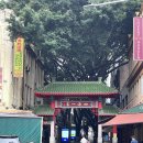 행복한 여자의 공간 | [호주·시드니여행] 🇦🇺#2 환전소 추천, 브런치 카페, 퀸빅토리아, 뜨개 매장, 검션커피, 하버브릿지...