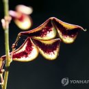 해바라기화원 - 태안군 군청2길 2 | 해바라기화원