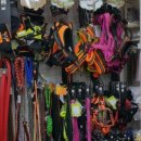 애완용품 할인마트 이미지