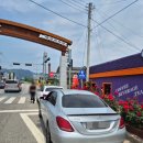 신성카모터스 이미지