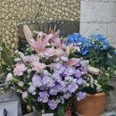 브라보 나의 인생 그림책이 되다 | 5월의 마무리 일기