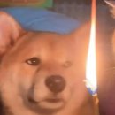 칠사칠
