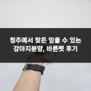 청주강아지분양 애견입양 애견미용 바른펫 | 청주에서 찾은 믿을 수 있는 강아지분양, 바른펫 후기