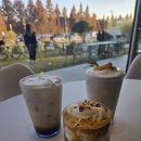 애견수족관 이미지