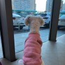 닥터각 동물병원 이미지