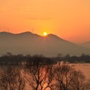 블루향기 이미지