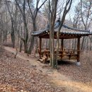 응봉산농장 이미지