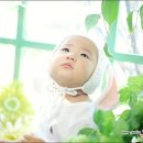애기야 이미지