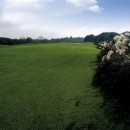 제주이즈 이미지