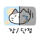 셀립여의 이미지
