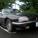 재규어 XJS(V12 5.3L) 와 재규어 XJ 시리즈3 베이스의 다임러 더블식스 포그램프 벌브교환