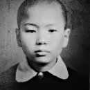 감문초등학교 이미지