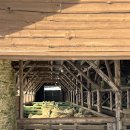 감나무목장 이미지