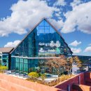 그랜드 머큐어 앰배서더 창원 이미지