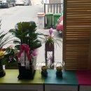 고양이 마을 이미지