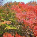 해인공인중개사사무소 이미지