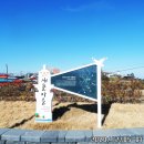 해파랑길 40코스 바우길 12구간 이미지