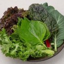 (주)드림유통 이미지