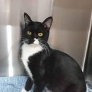 겨울이와여름이 이미지