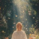 명상 - 자연 이미지