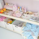 웰컴댕댕 이미지