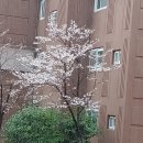 GS25아주운동장점 네이버블로그
