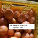 제주 특산 봉왕 10kg 15kg 판매중 이미지