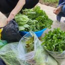 현숙농장 이미지