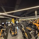 웰니스짐 | 운동이 즐거워지는 공간, 구리 웰니스짐 이용 후기