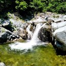 소똥령이야기 이미지