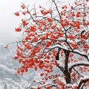 천안미라초등학교 이미지