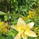 고성/속초에서 이미지