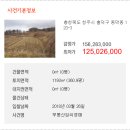 동막동(1) 이미지