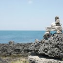 포레스타1공인중개사사무소 이미지