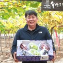 농업회사 팜스토리 주 서울뉴스통신