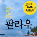 ■ 투어수다와 함께 떠나는 팔라우 3박 4일 꿈의 가족 허니문 여행 이미지