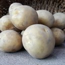 재용농장 이미지