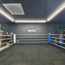 김지산 복싱센터 이미지