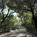 조선소길 | 나고야 아츠다 신궁 가기 전 필독! 가는 법, 참배 매너, 오마모리 가격 총정리