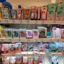 하일마트 | 독일 베를린 dm 쇼핑리스트 추천 ft. 영양제, 멜라토닌, 택스리펀