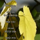 박학준 이미지