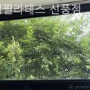 어몽뎀필라테스