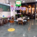 팜필리아 이미지