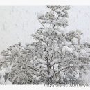 백암온천주유소 이미지