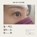 모노아이룸