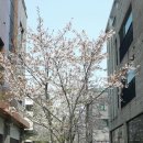 너른들어린이공원 이미지