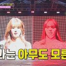 나비그네