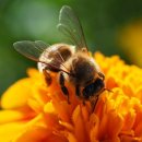 도울공인중개사사무소 이미지