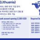 법인빈센트 이미지