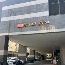 1인 세신샵 린 | 대구 1인 세신샵/ 만삭 쌍둥이 임산부 린세신샵 내돈내산 후기